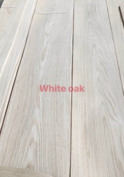 Ván gỗ White Oak - Ván Gỗ Veneer Thụy Thái - Công Ty TNHH Thụy Thái